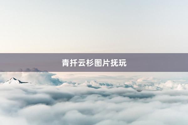 青扦云杉图片抚玩