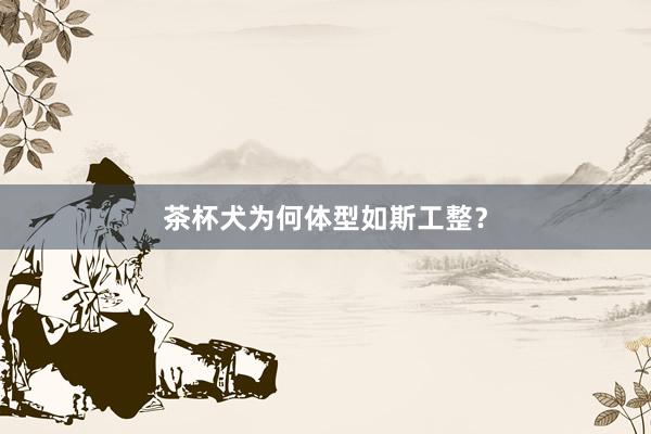 茶杯犬为何体型如斯工整？