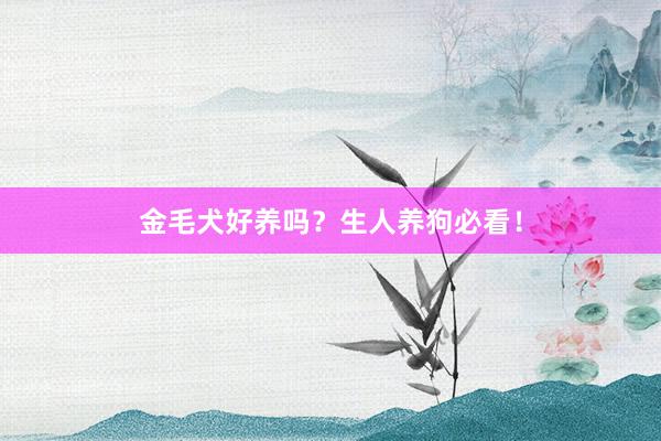 金毛犬好养吗?生人养狗必看!