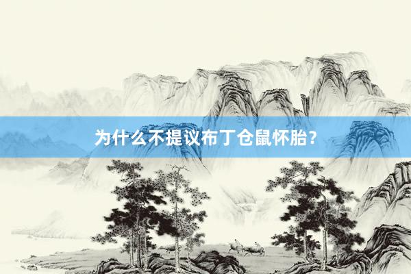为什么不提议布丁仓鼠怀胎？